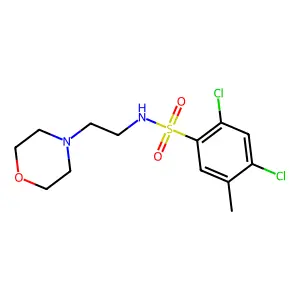 2,4-dichloro-5-methyl-N-(2-morpholinoethyl)benzenesulfonamide structure