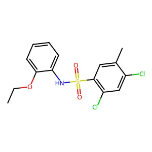 2,4-dichloro-N-(2-ethoxyphenyl)-5-methylbenzene-1-sulfonamide structure
