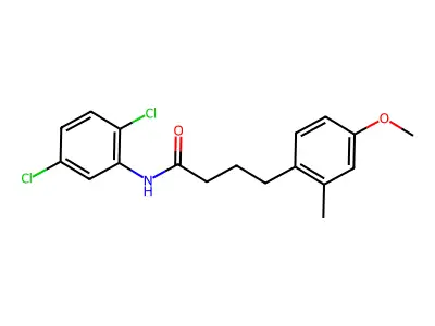 N-(2,5-dichlorophenyl)-4-(4-methoxy-2-methylphenyl)butanamide structure
