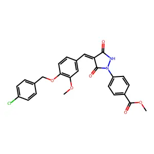 AN-989/40664007 structure