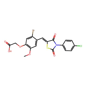 AN-989/40683560 structure