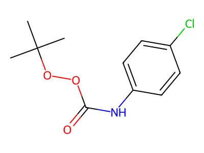 1-{[(tert-Butylperoxy)carbonyl]amino}-4-chlorobenzene structure