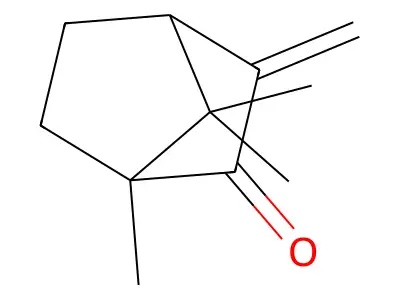 Methylencampher structure
