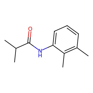 N-(2,3-dimethylphenyl)-2-methylpropanamide structure