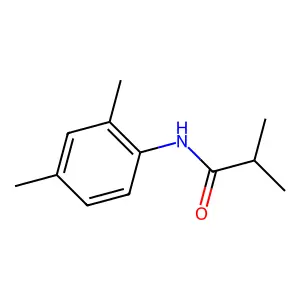 N-(2,4-dimethylphenyl)-2-methylpropanamide structure