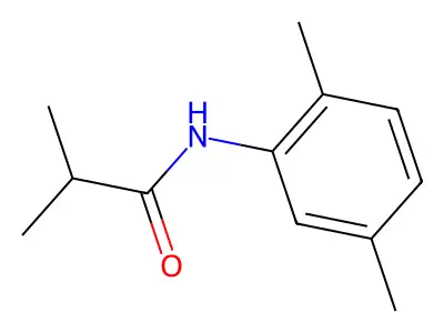 N-(2,5-dimethylphenyl)-2-methylpropanamide structure