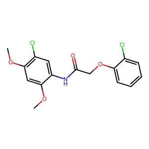 N-(5-chloro-2,4-dimethoxyphenyl)-2-(2-chlorophenoxy)acetamide structure