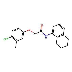 2-(4-chloro-3-methylphenoxy)-N-(5,6,7,8-tetrahydronaphthalen-1-yl)acetamide structure