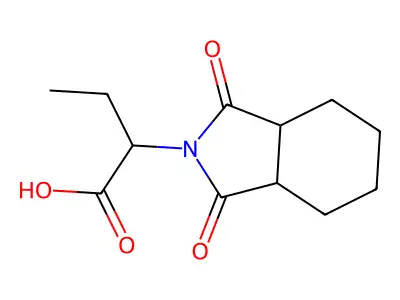 2-(1,3-Dioxo-octahydro-isoindol-2-yl)-butyric acid structure