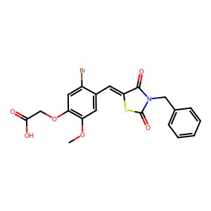 AN-989/40746654 structure