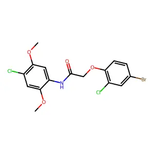 2-(4-bromo-2-chlorophenoxy)-N-(4-chloro-2,5-dimethoxyphenyl)acetamide structure