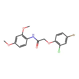 2-(4-bromo-2-chlorophenoxy)-N-(2,4-dimethoxyphenyl)acetamide structure