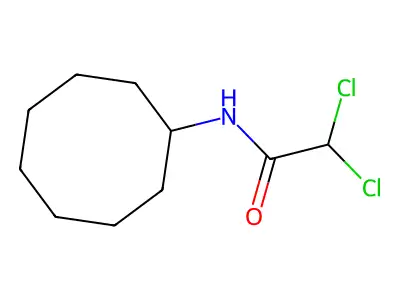 2,2-dichloro-N-cyclooctylacetamide structure