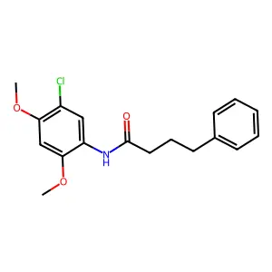 N-(5-chloro-2,4-dimethoxyphenyl)-4-phenylbutanamide structure