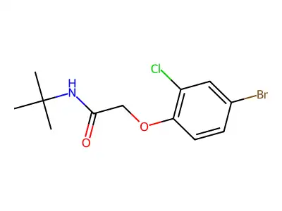 2-(4-bromo-2-chlorophenoxy)-N-(tert-butyl)acetamide structure