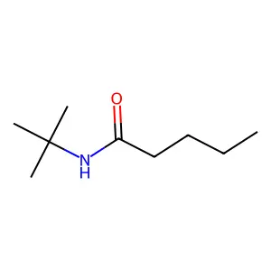 Pentanamide, N-tert.-butyl structure