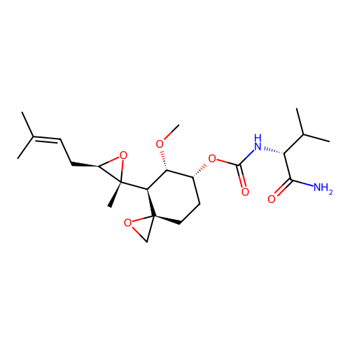 Metapro structure