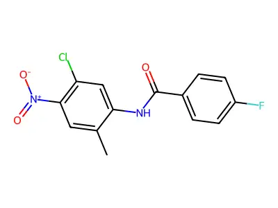 N-(5-chloro-2-methyl-4-nitrophenyl)-4-fluorobenzamide structure