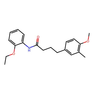 N-(2-ethoxyphenyl)-4-(4-methoxy-3-methylphenyl)butanamide structure