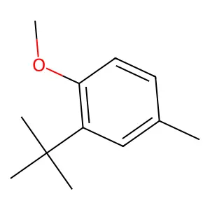 Benzene, 2-(1,1-dimethylethyl)-1-methoxy-4-methyl- structure