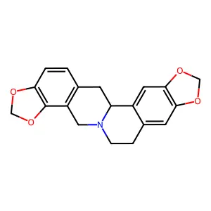四氢黄连碱 structure