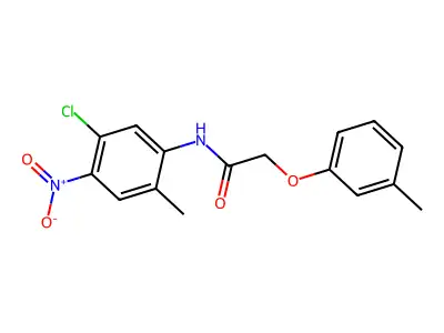N-(5-chloro-2-methyl-4-nitrophenyl)-2-(3-methylphenoxy)acetamide structure