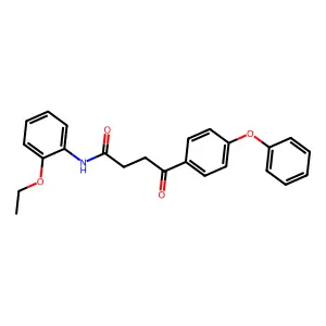 N-(2-ethoxyphenyl)-4-oxo-4-(4-phenoxyphenyl)butanamide structure