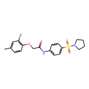 2-(2-bromo-4-methylphenoxy)-N-[4-(pyrrolidin-1-ylsulfonyl)phenyl]acetamide structure
