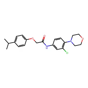 N-[3-chloro-4-(morpholin-4-yl)phenyl]-2-[4-(propan-2-yl)phenoxy]acetamide structure