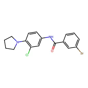 3-bromo-N-[3-chloro-4-(pyrrolidin-1-yl)phenyl]benzamide structure
