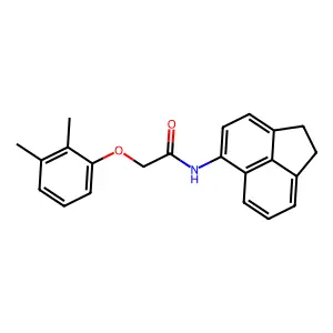 N-(1,2-dihydroacenaphthylen-5-yl)-2-(2,3-dimethylphenoxy)acetamide structure