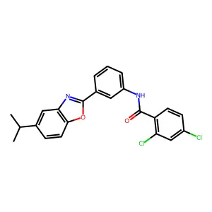 2,4-dichloro-N-{3-[5-(propan-2-yl)-1,3-benzoxazol-2-yl]phenyl}benzamide structure
