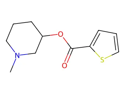 1-Methyl-3-piperidinyl 2-thiophenecarboxylate structure