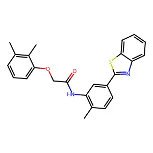 N-[5-(1,3-benzothiazol-2-yl)-2-methylphenyl]-2-(2,3-dimethylphenoxy)acetamide structure