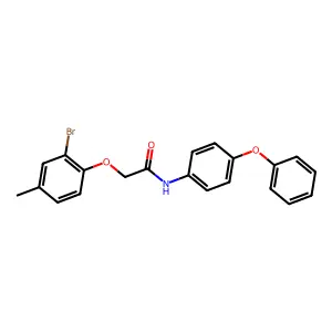 2-(2-bromo-4-methylphenoxy)-N-(4-phenoxyphenyl)acetamide structure