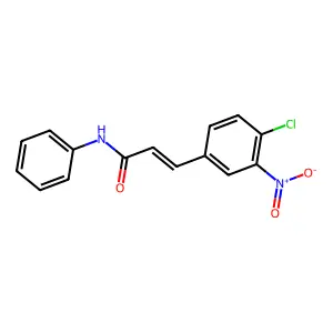 (E)-3-(4-chloro-3-nitrophenyl)-N-phenylprop-2-enamide structure