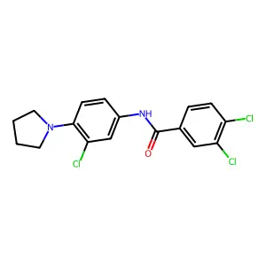 3,4-dichloro-N-[3-chloro-4-(pyrrolidin-1-yl)phenyl]benzamide structure
