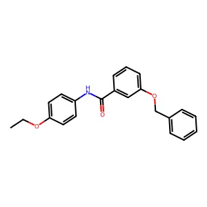 N-(4-ethoxyphenyl)-3-phenylmethoxybenzamide structure