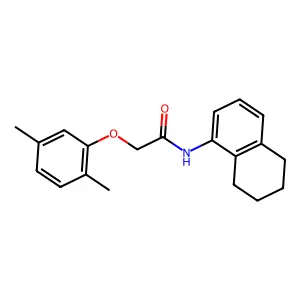 2-(2,5-dimethylphenoxy)-N-(5,6,7,8-tetrahydronaphthalen-1-yl)acetamide structure