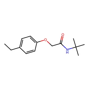 N-tert-butyl-2-(4-ethylphenoxy)acetamide structure