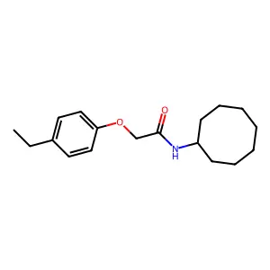 N-cyclooctyl-2-(4-ethylphenoxy)acetamide structure