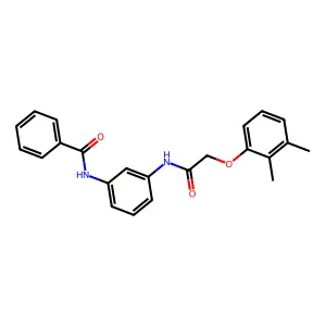 N-(3-{[(2,3-dimethylphenoxy)acetyl]amino}phenyl)benzamide structure