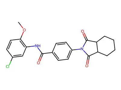 BAS 07202404 structure