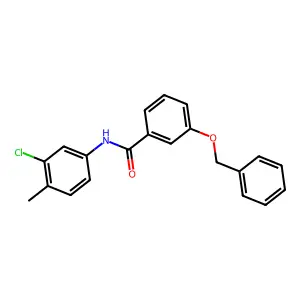 N-(3-chloro-4-methylphenyl)-3-phenylmethoxybenzamide structure