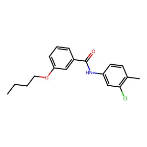 3-butoxy-N-(3-chloro-4-methylphenyl)benzamide structure