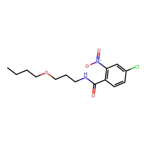 N-(3-butoxypropyl)-4-chloro-2-nitrobenzamide structure