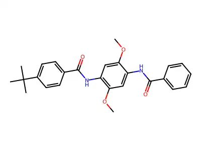 N-(4-benzamido-2,5-dimethoxyphenyl)-4-tert-butylbenzamide structure