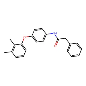 N-[4-(2,3-dimethylphenoxy)phenyl]-2-phenylacetamide structure