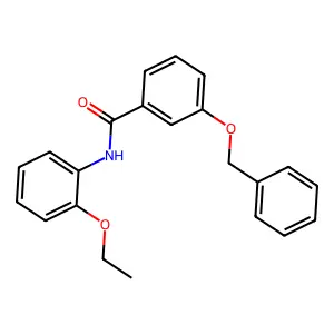 3-(苄氧基)-N-(2-乙氧基苯基)苯甲酰胺 structure