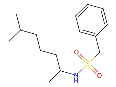 N-(6-methylheptan-2-yl)-1-phenylmethanesulfonamide structure